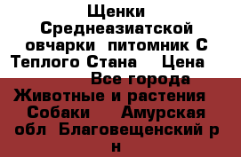 Щенки Среднеазиатской овчарки (питомник С Теплого Стана) › Цена ­ 20 000 - Все города Животные и растения » Собаки   . Амурская обл.,Благовещенский р-н